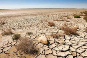 desertification-drought-are-biggest-issues-for-humankind-un