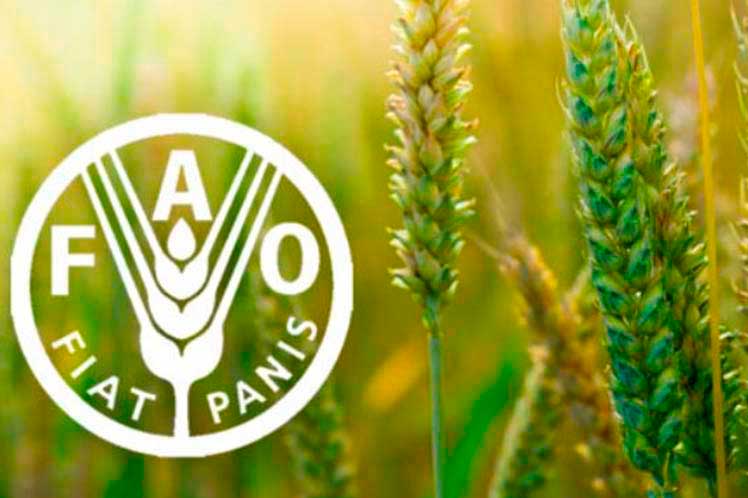 fao-calls-for-help-to-prevent-further-food-insecurity-in-ukraine