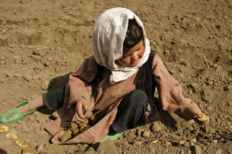 china-to-help-drought-stricken-countries-in-the-horn-of-africa