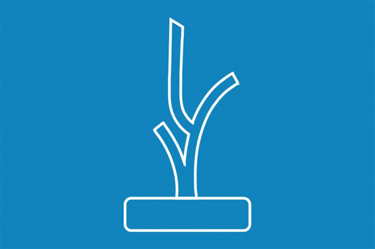 Cuba, cine, festival, obras