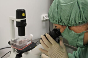 Cuba, Covid-19, fármaco, Nimotuzumab