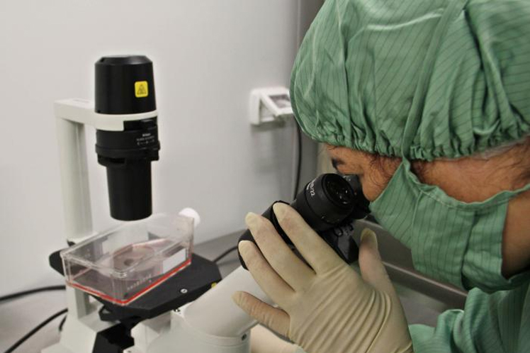 Cuba, Covid-19, fármaco, Nimotuzumab