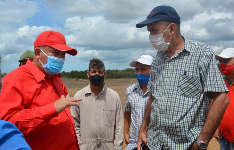 Cuba, producción, agrícola