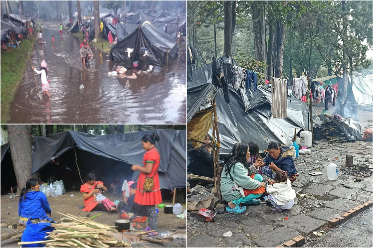 Colombia, indígenas, situacón, Bogotá