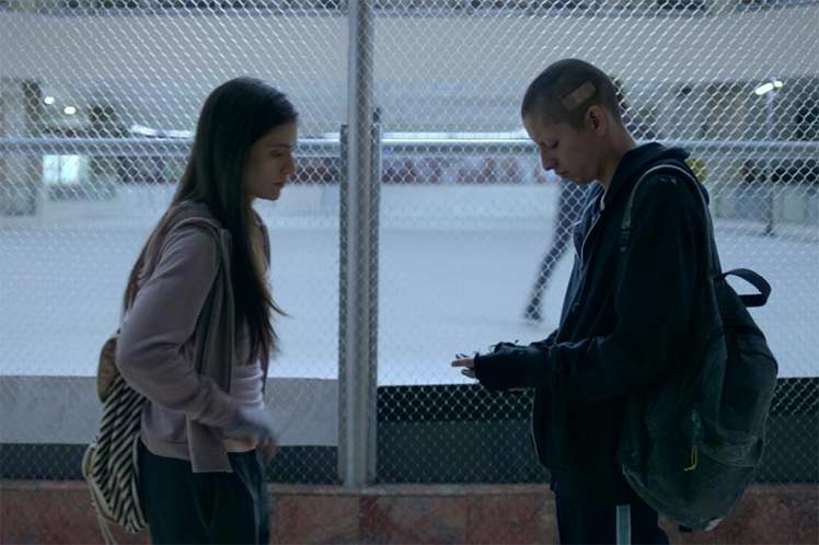 Film-50-o-2-ballenas