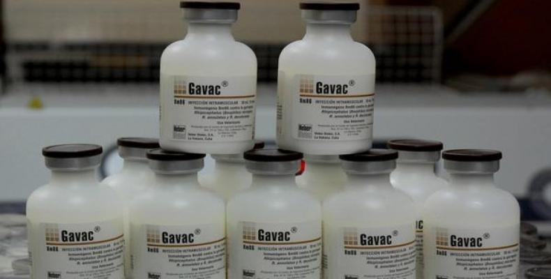 'Gavac' vaccine Cuba
