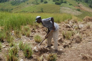 5890870772_00fe49f6eb_b-300x200