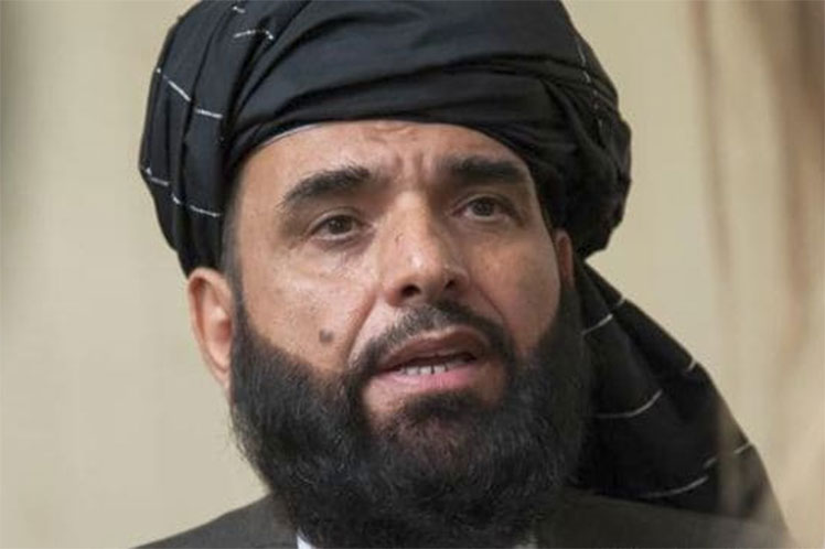 Afganistán, ONU, llamado, liberación, activos