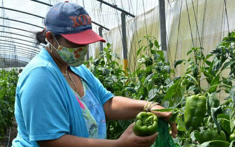 Scientific contribution to development of Cuban central province