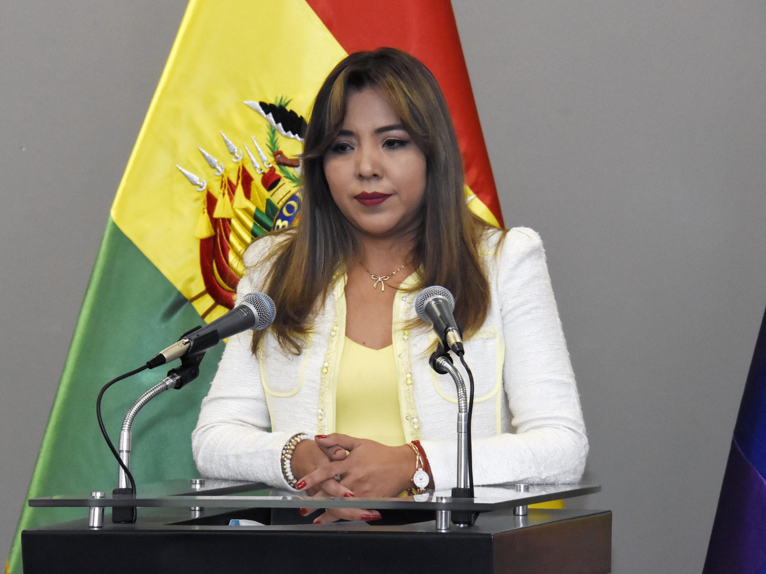 Bolivia, Gabriela Alcón , comisión, feminicidios, reunión