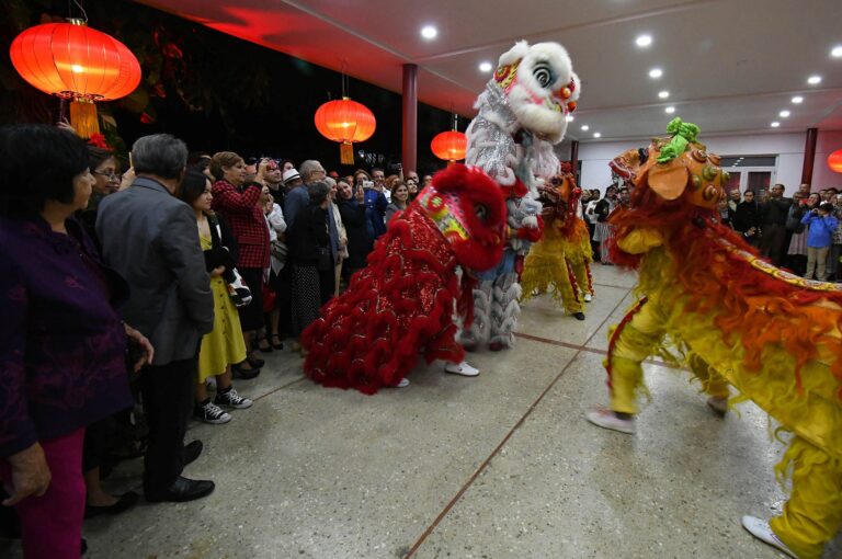 Cuba, descendiente, chinos, celebración, año, lunar