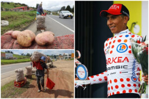 prices-of-agricultural-products-rise-in-colombia