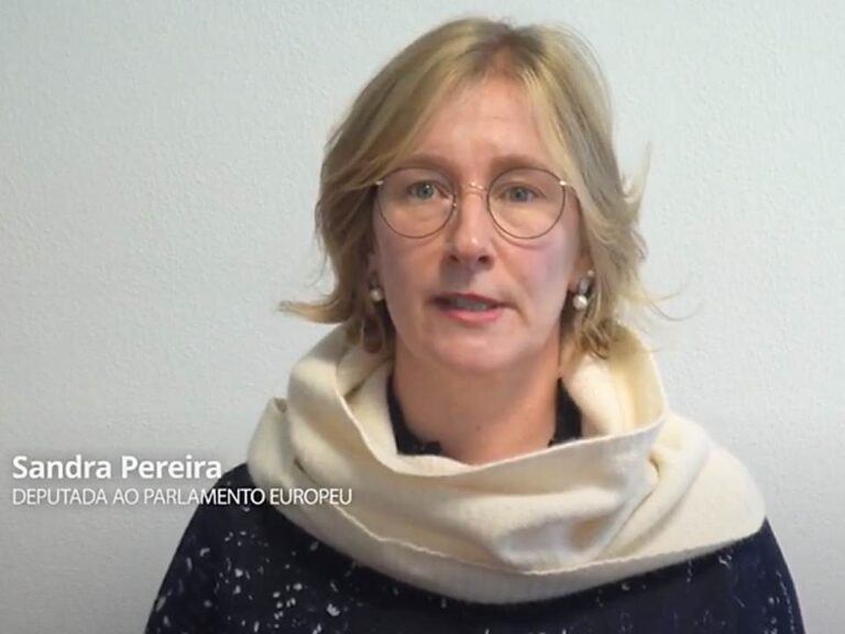 Eurodiputada, SAndra Pereira, bloqueo, condena