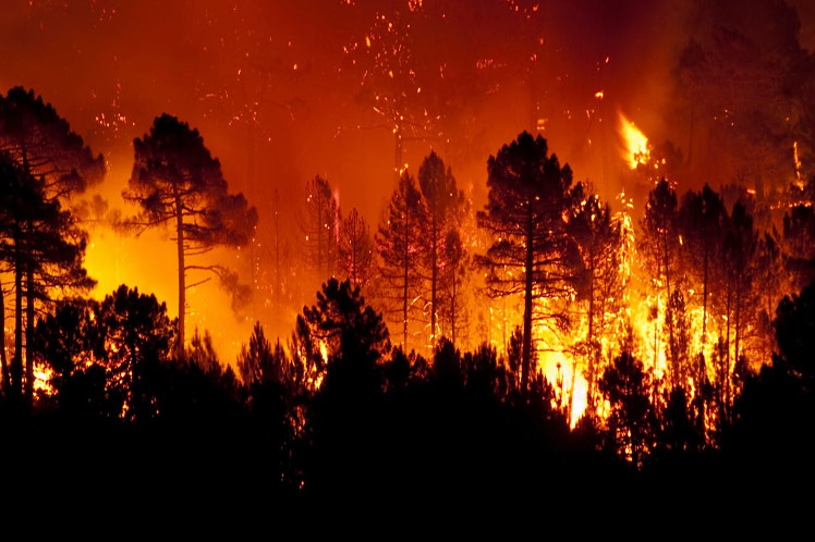 ciencia, incendios, forestales