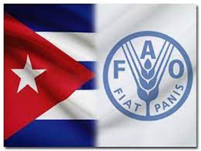 Cuba-FAO