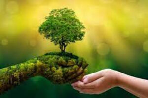 Francia, personaliddes, apoyo, acción, climática