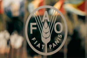 food-price-index-hit-record-high-in-february-fao-reports