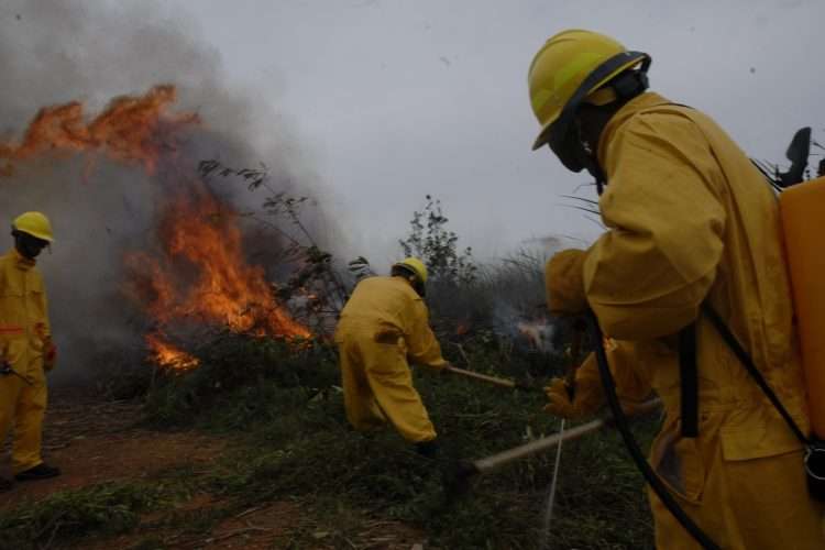 forest-fire-is-under-control-in-western-cuba