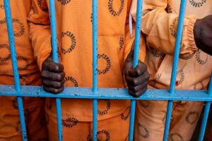 Niger-ministro-arrestado-300x200