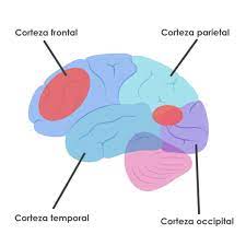 specialists-consider-promptness-as-key-element-to-treat-aphasia