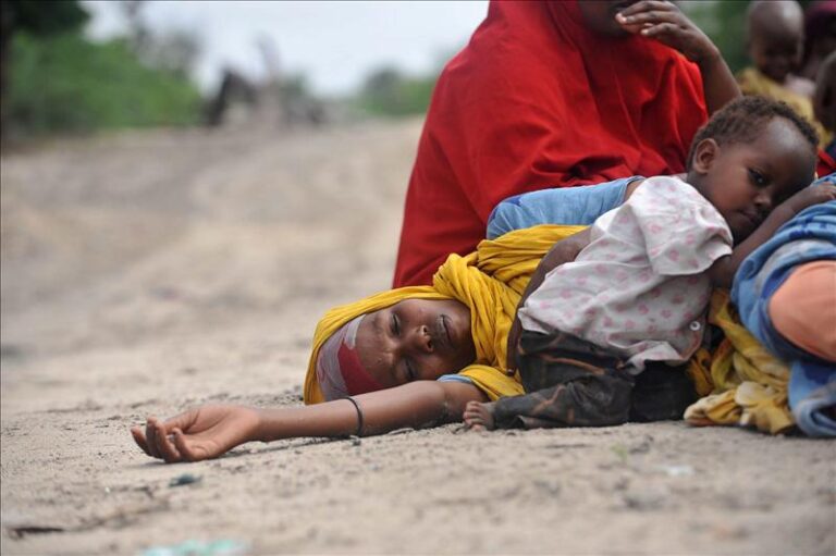 IOM calls for measures to fight off famine in the Horn of Africa
