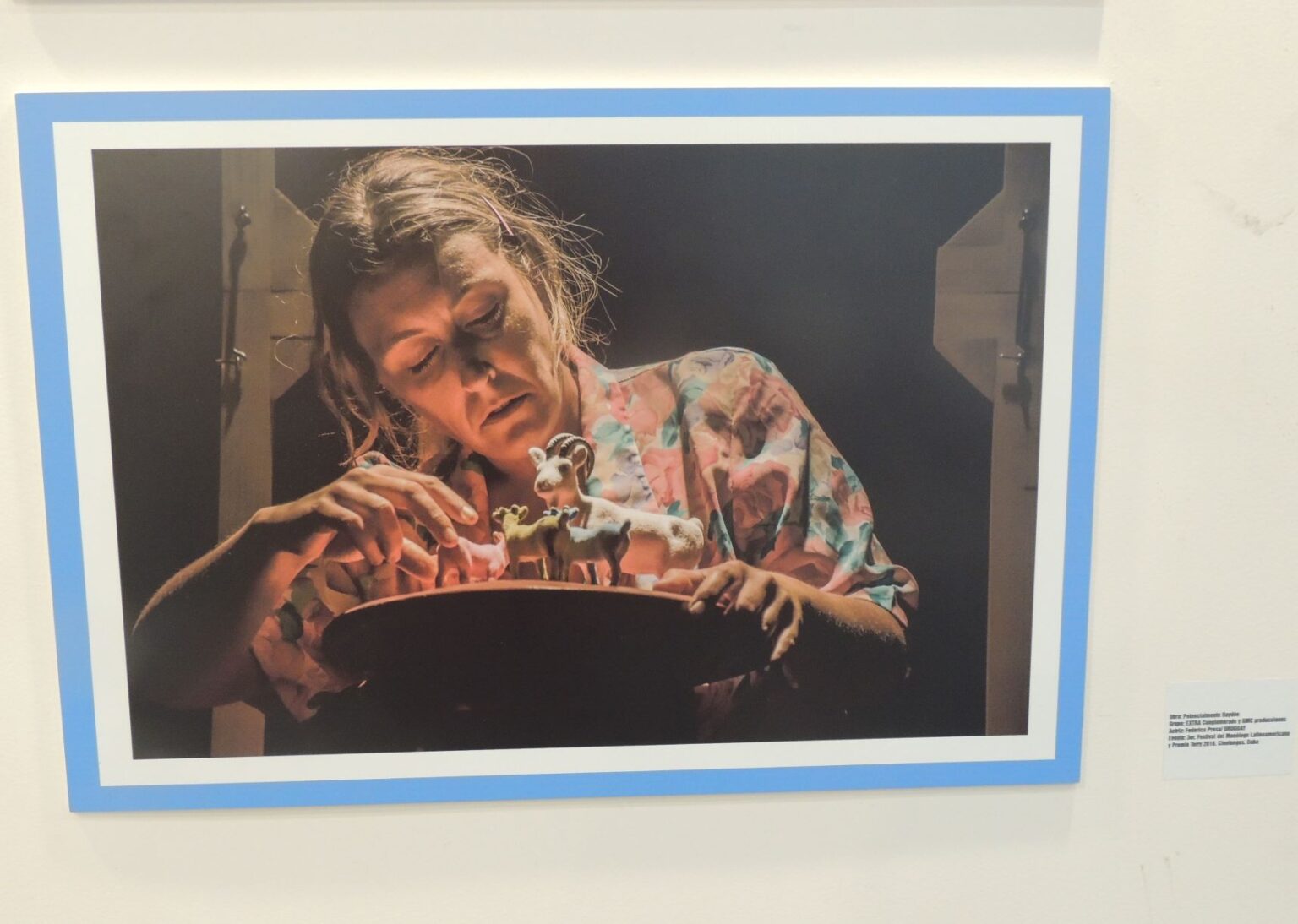 Photographic exhibition highlights cultural ties between Argentina an - Vimarsana News