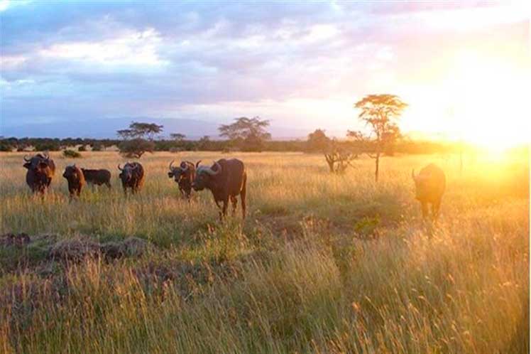 Investments announced in Angola for African biodiversity region - Vimarsana News