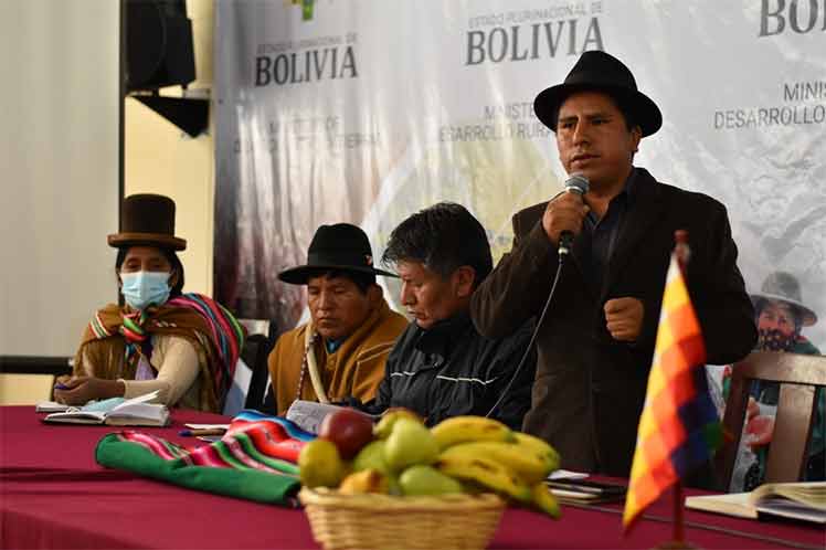 Bolivia, tierra, social, verificación, funcionamiento