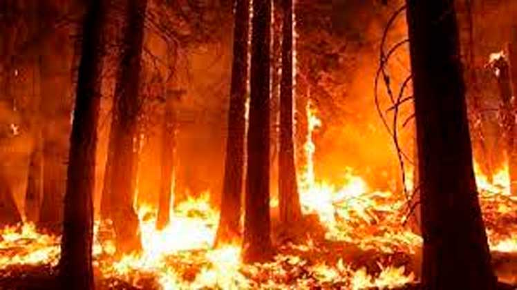 Bolivia-enfrentamiento-incendios-forestales
