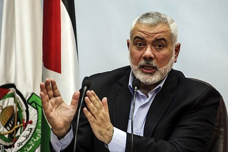 hamas, apoyo, causa, palestina