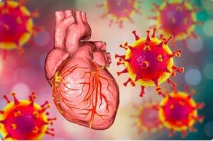 scientists-find-coronavirus-mechanism-to-attack-the-heart
