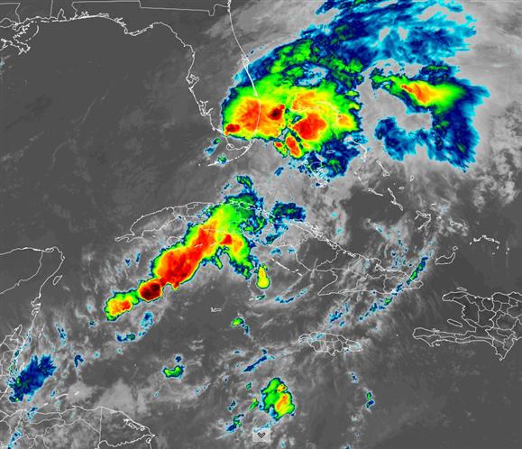 evento, climático, organismo, tropical