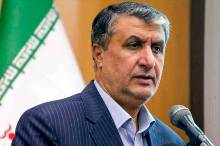 jefe-de-la-Organización-de-Energía-Nuclear-de-Irán,-Mohamad-Eslami