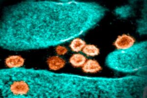 Covid-subvariante-BA.5-de-Ómicron-1