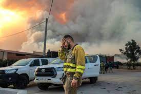 ESpaña, ola, calor, muertes