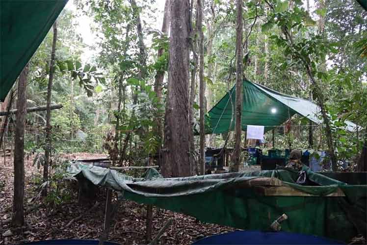 Bolivian Govt. removes Lab during anti-drug trafficking operation - Vimarsana News