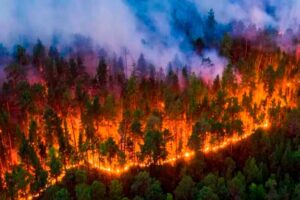 España-incendios-forestales