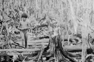 Vietnam-Agente-Naranja