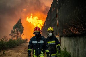 fires-devour-104000-hectares-of-forests-in-portugal