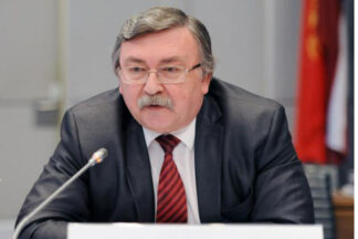 0MijailUlianov1-324x216