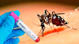 panama-reports-over-2000-dengue-cases