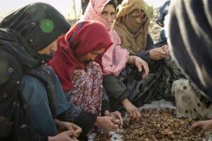 Afganistan crisis alimentaria