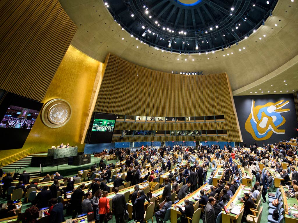 Asamblea-ONU