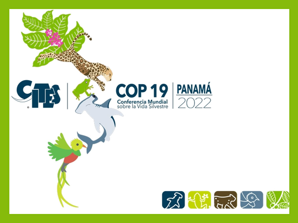 COP19 en Panamá protege la vida de más de 500 nuevas especies