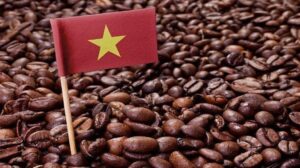 Vietnam-exportaciones-cafe-300x168