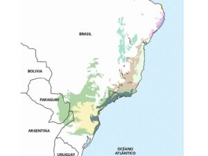 restoration-of-south-americas-atlantic-forest-is-moving-forward