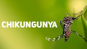 Paraguay-chikungunya-300x170