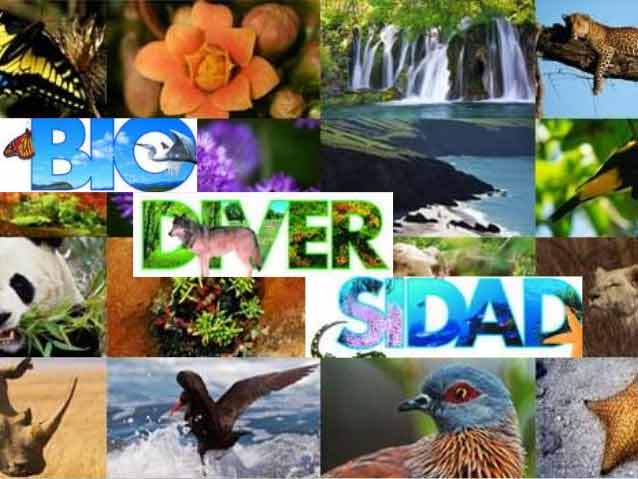 biodiversidad