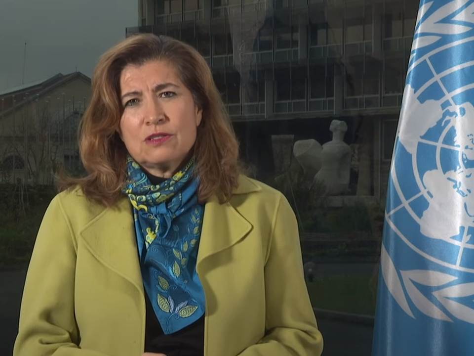 unescos-deputy-director-will-carry-out-a-broad-agenda-in-cuba