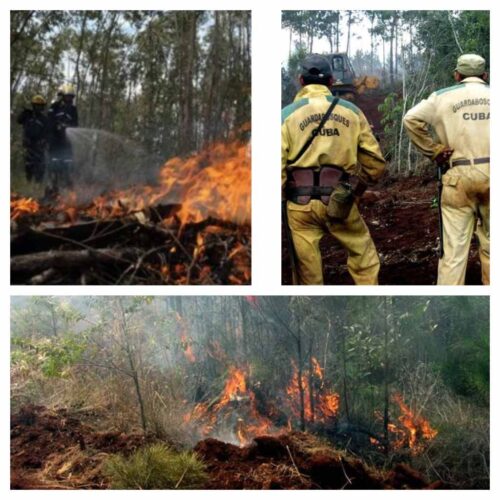 Flächenbrand in Holguin | Bildquelle: Prensa Latina © Na | Bilder sind in der Regel urheberrechtlich geschützt